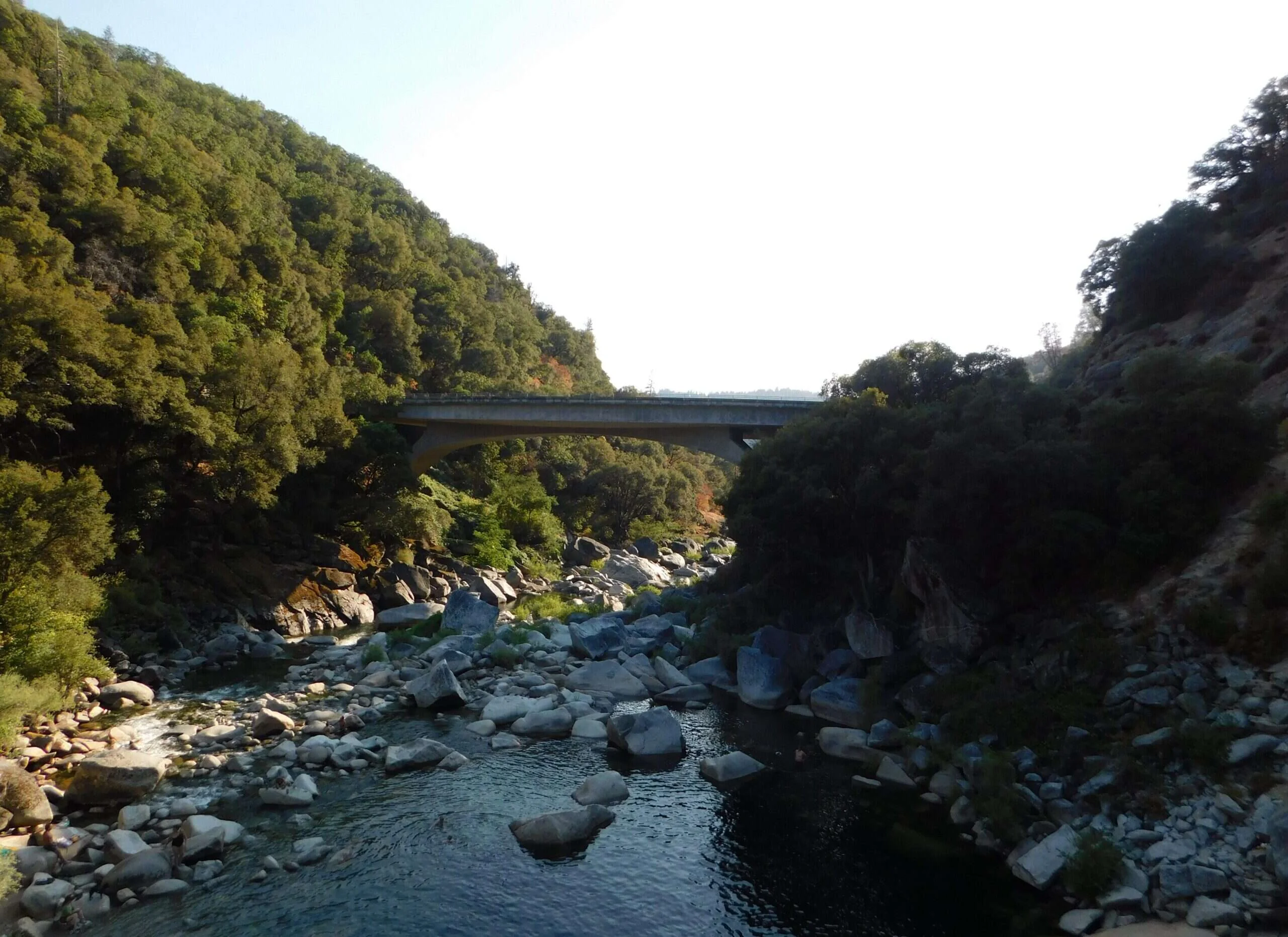 A river running through the wooded Sierra foothills below a highway bridge, near Grass Valley, California